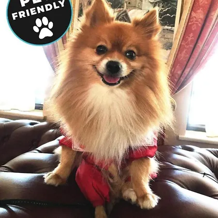 Beautiful Two Bedroom 4th Floor In Elegant Luxe With Pool, Sauna, Gym And Steam Apart Otel Bansko